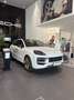 Porsche Cayenne Cayenne Coupe 4.0 e-hybrid Turbo Bianco - thumbnail 1