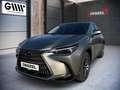 Lexus NX 350h NX 2,5l, CVT Executive Silber - thumbnail 15