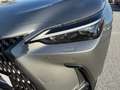 Lexus NX 350h Executive + Interior Paket Silber - thumbnail 12