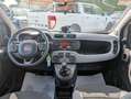 Fiat Panda METANO 0.9cc 84cv NATURAL POWER Bílá - thumbnail 6