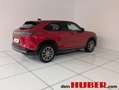 Honda e :NY1 EV AT Advance Rot - thumbnail 6