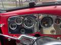 GMC pick up truck "OPENHOUSE 25&26 May" Rood - thumbnail 17