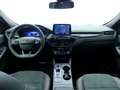 Ford Kuga ST-Line 2.5 Duratec PHEV 178kW Auto Rojo - thumbnail 18