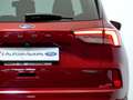 Ford Kuga ST-Line 2.5 Duratec PHEV 178kW Auto Rojo - thumbnail 14