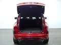 Ford Kuga ST-Line 2.5 Duratec PHEV 178kW Auto Rojo - thumbnail 9