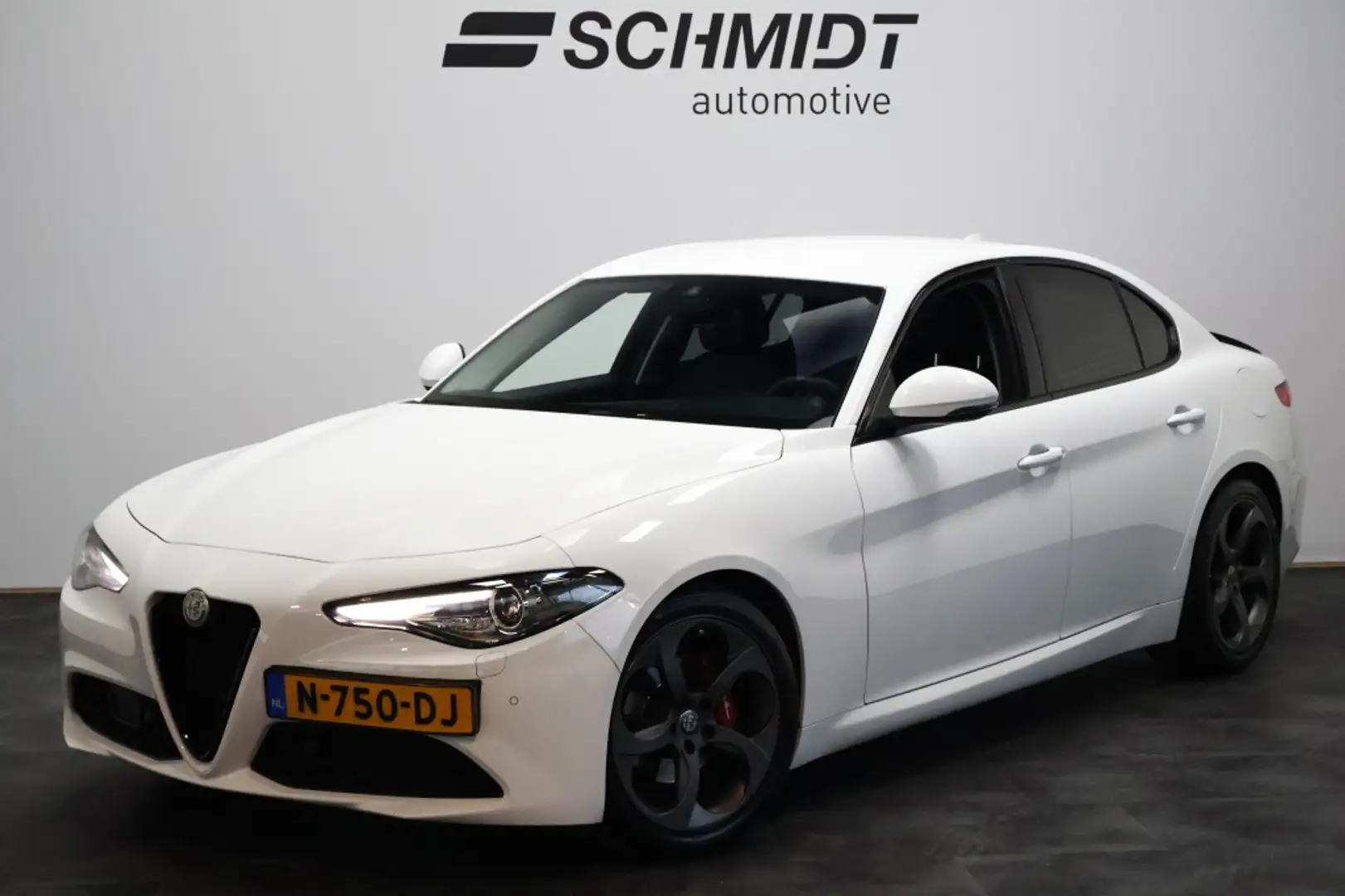 Alfa Romeo Giulia 2.0T Super Automaat | Bi-Xenon | Carbon | Stoel/St Wit - 1
