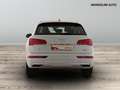 Audi Q5 40 2.0 tdi 190cv business sport quattro s tronic Blanco - thumbnail 11