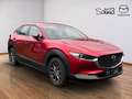 Mazda CX-30 e-Skyactive G122 Prime-Line Rosso - thumbnail 2