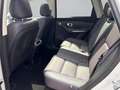 Leapmotor C10 REEV Design bis zu 974 KM komb. Reichweite Gris - thumbnail 13