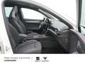 CUPRA Leon TSI DSG PANO NAVI ACC KAM VIRT KEYLESS P Weiß - thumbnail 7