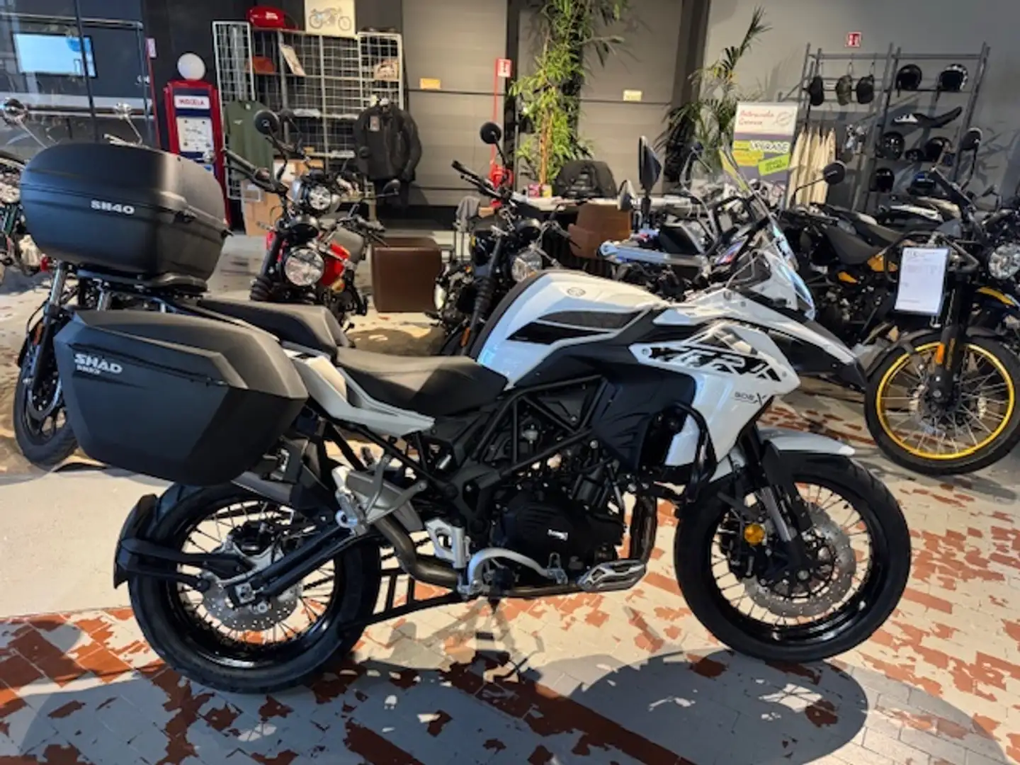 Benelli TRK 502 X Alb - 1