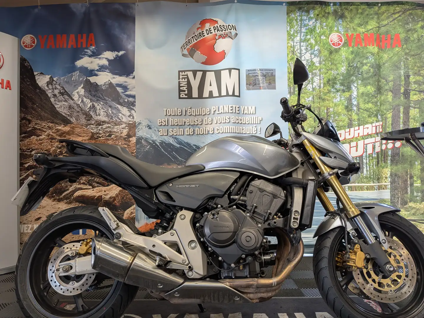 Honda Hornet - 1