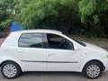 Fiat Punto 5p 1.2 Classic Dynamic - thumbnail 10