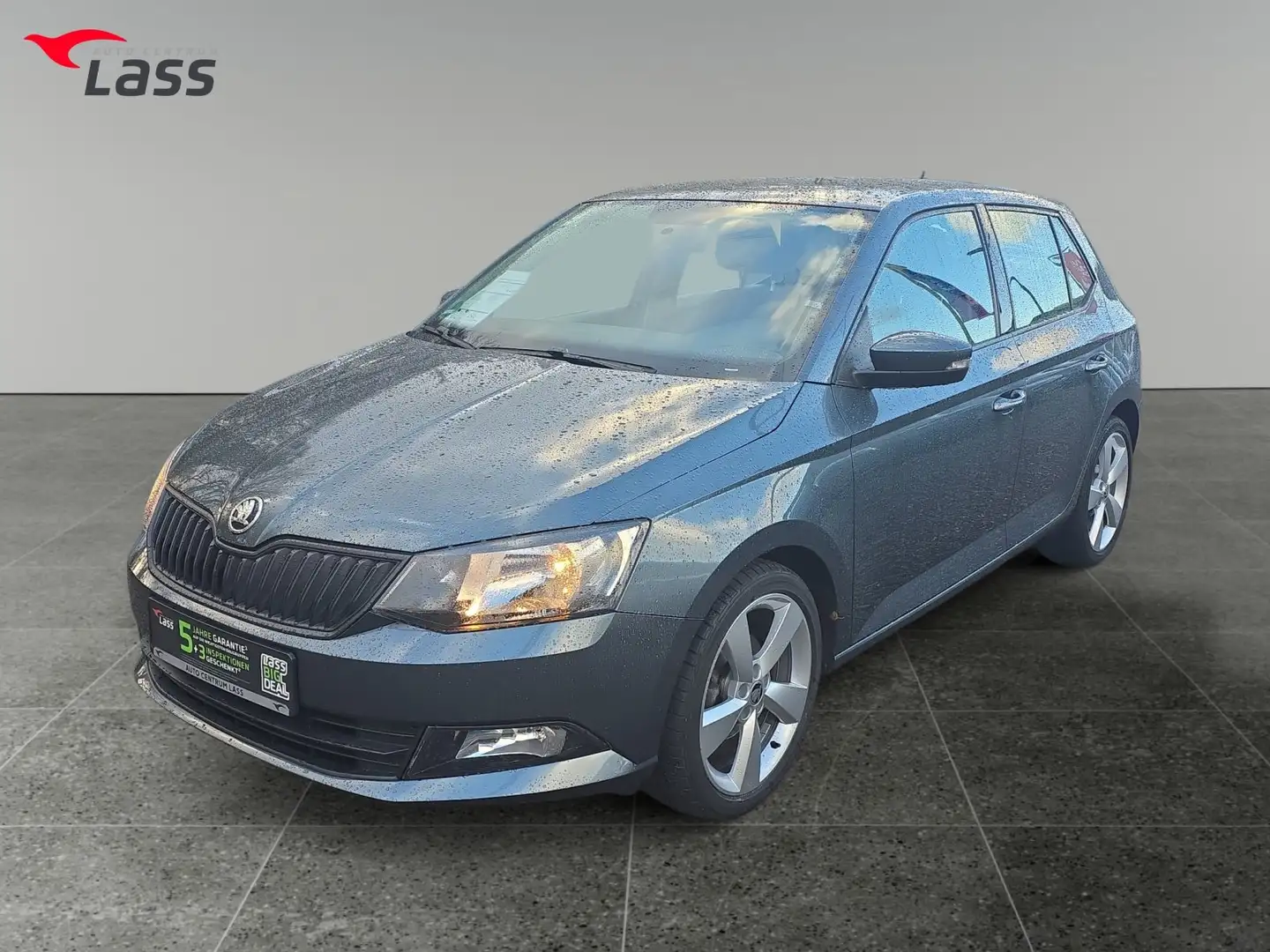 Skoda Fabia 1.0 MPI Cool Plus LM PDC Grau - 2
