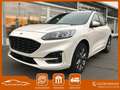 Ford Kuga ST-Line X,HeadUp,ToterW,B&O,LED,Autom.4WD Blanc - thumbnail 1