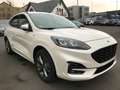 Ford Kuga ST-Line X,HeadUp,ToterW,B&O,LED,Autom.4WD Blanc - thumbnail 3