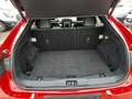 Ford Mustang Mach-E Mach-E Rot - thumbnail 5