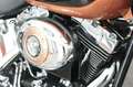Harley-Davidson Softail FXSTC Softail Custom 105J. H-D 5HD1... Bronze - thumbnail 10