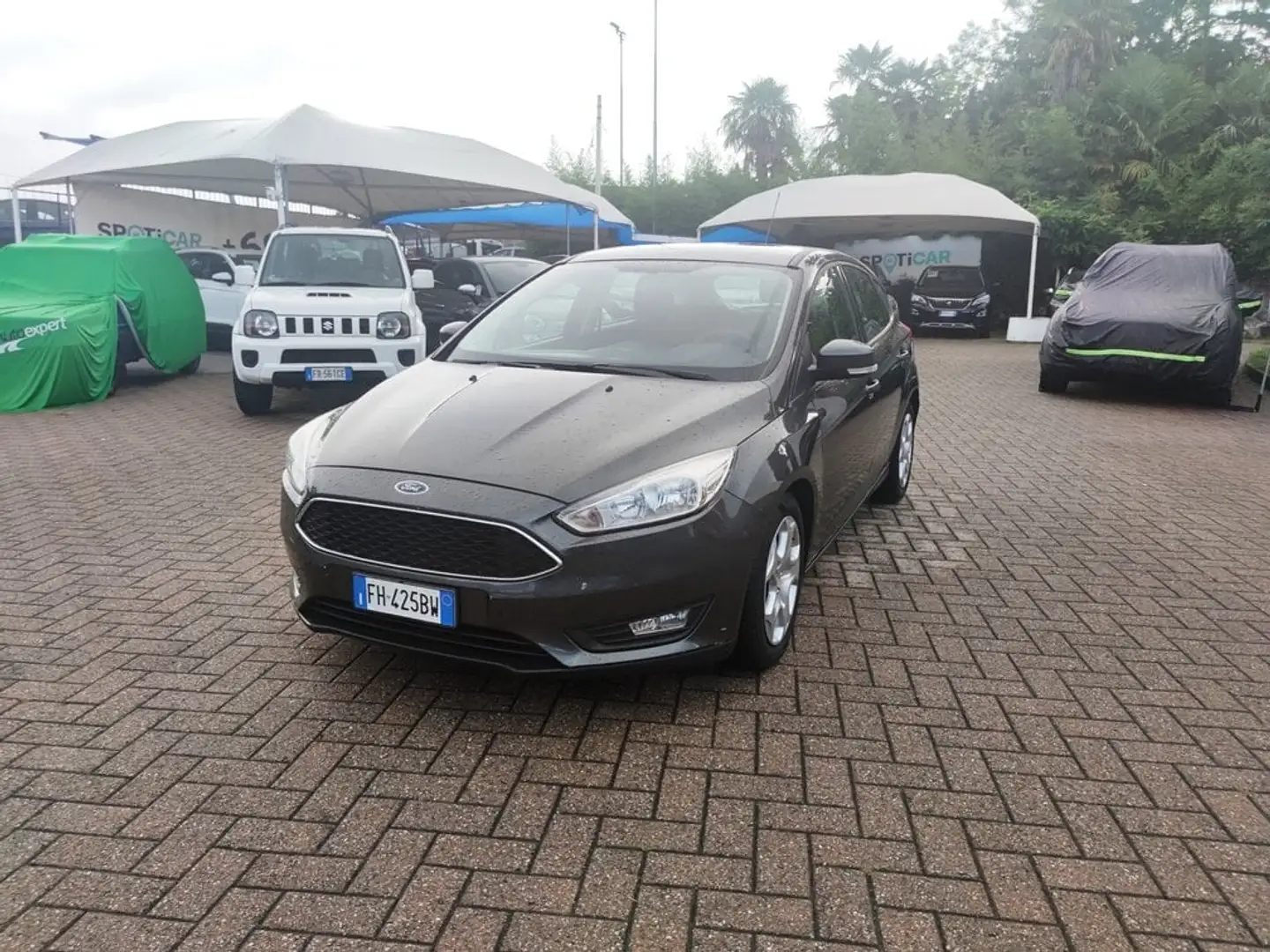 Ford Focus IV 5p 1.0 ecoboost Plus s&s 100cv Grigio - 1