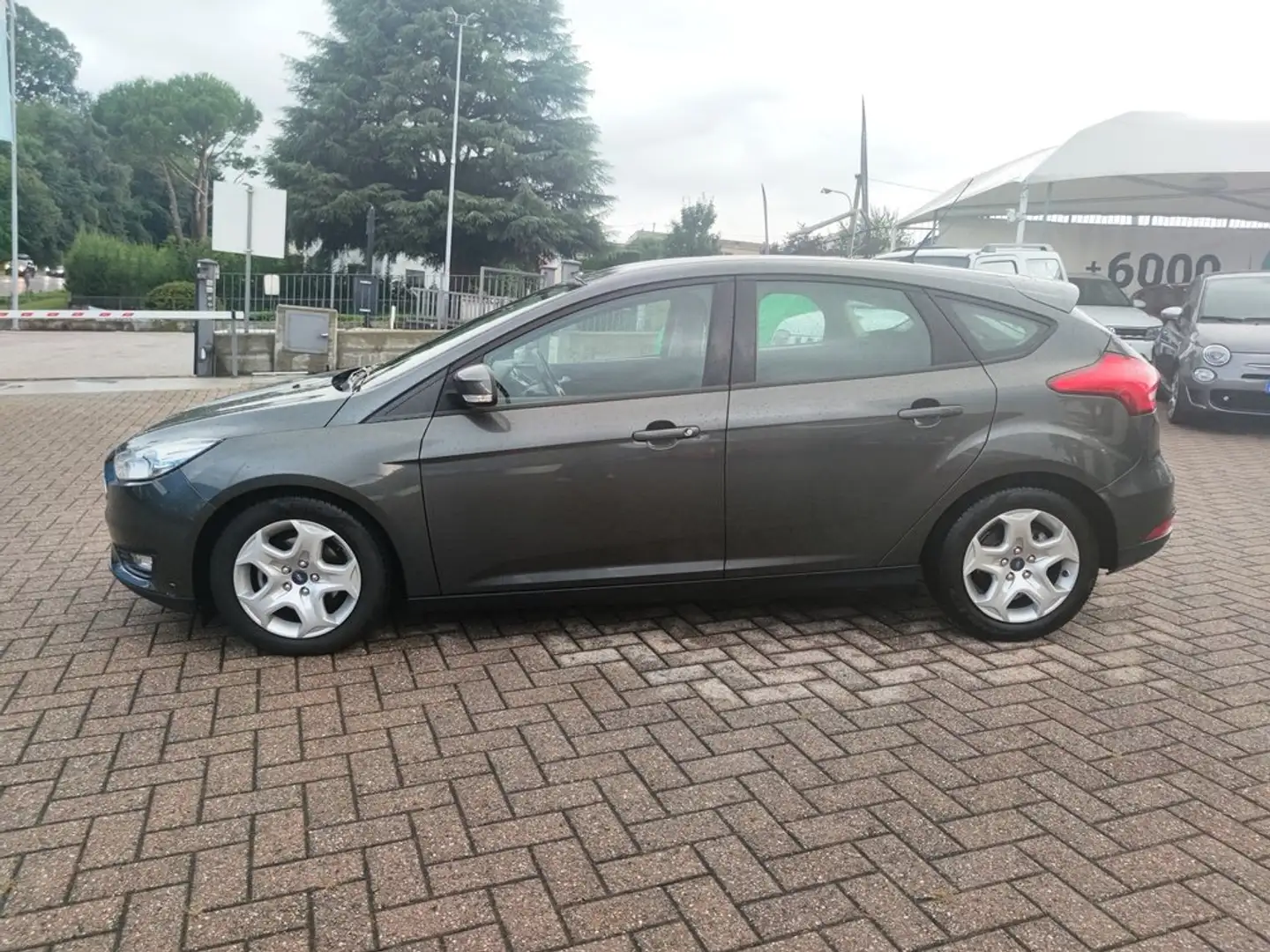 Ford Focus IV 5p 1.0 ecoboost Plus s&s 100cv Grigio - 2