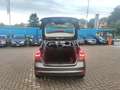 Ford Focus IV 5p 1.0 ecoboost Plus s&s 100cv Grigio - thumbnail 5