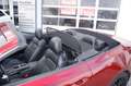 Ford Mustang GT Convertible MagneRide Windschott Rot - thumbnail 8
