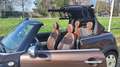 MINI Cooper Cabrio 1.6 Klima / Leder / Alu 17" / SHZ / PDC Brązowy - thumbnail 22