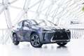 Lexus UX 250h Business Line | NL-Auto | Apple Carplay + Android Grijs - thumbnail 37