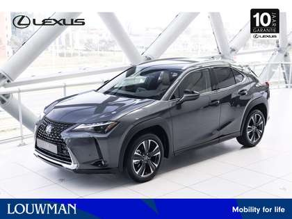 Lexus UX 250h Business Line | Apple Carplay | Parkeersensoren |