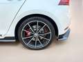 Volkswagen Golf GTI GTI TCR! Akrapovic Auspuff ab Werk!!! Weiß - thumbnail 14