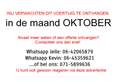Nissan Bluebird 1.6 LX in ROESTVRIJE STAAT! Zilver - thumbnail 2