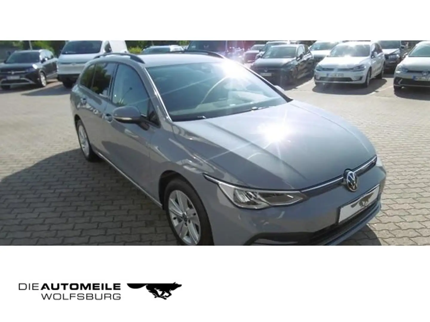 Volkswagen Golf Variant Golf VIII Variant 1,0 TSI Life ACC/Stand/AHK/LED Gris - 1