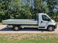 Fiat Ducato Maxi - thumbnail 1