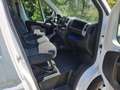 Fiat Ducato Maxi - thumbnail 9