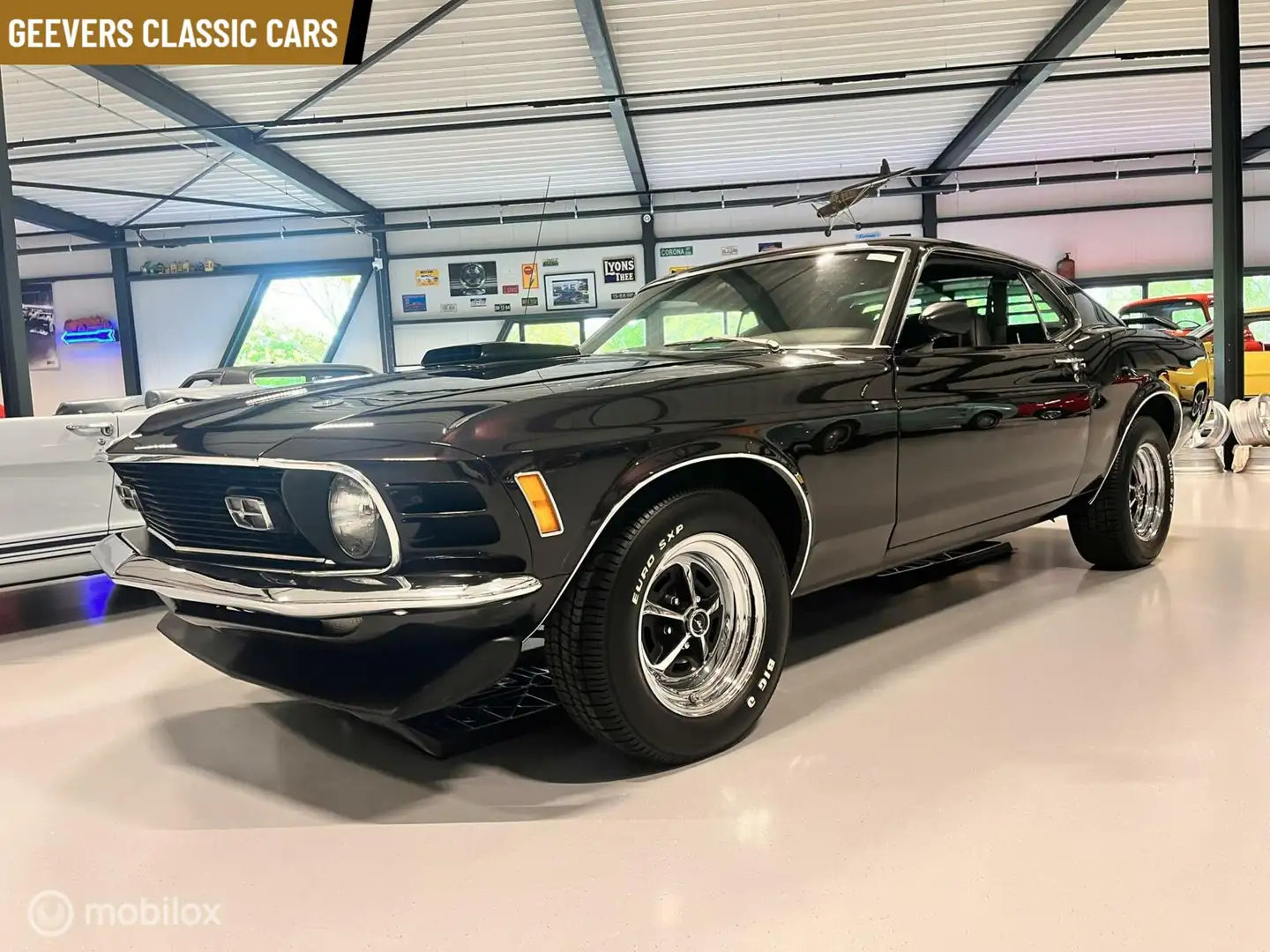 Ford Mustang Sportsroof Mauve - 1