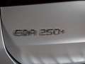 Mercedes-Benz EQA 250 250+ Business Line Gris - thumbnail 8