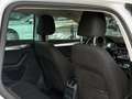 Skoda Octavia Combi 1.0 TSI DSG Greentech Ambition BNS Navi|Carp Blanc - thumbnail 9
