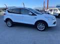 Ford Kuga 2.0 tdci Titanium 4wd s&s 150cv powershift E6 Blanc - thumbnail 5