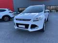 Ford Kuga 2.0 tdci Titanium 4wd s&s 150cv powershift E6 Blanc - thumbnail 2