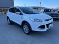 Ford Kuga 2.0 tdci Titanium 4wd s&s 150cv powershift E6 Blanc - thumbnail 8