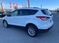 Ford Kuga 2.0 tdci Titanium 4wd s&s 150cv powershift E6 Blanc - thumbnail 11