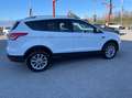Ford Kuga 2.0 tdci Titanium 4wd s&s 150cv powershift E6 Blanc - thumbnail 9