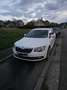 Skoda Superb 1.6 CR TDi Ambition - thumbnail 1