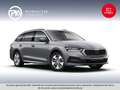 Skoda Octavia 4x4 Ambition TDI DSG Grau - thumbnail 1