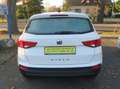 SEAT Ateca Reference Weiß - thumbnail 5
