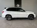 BMW X5 xDrive50i/ADAP.LED/HUD/H&K/360°/PANO White - thumbnail 7