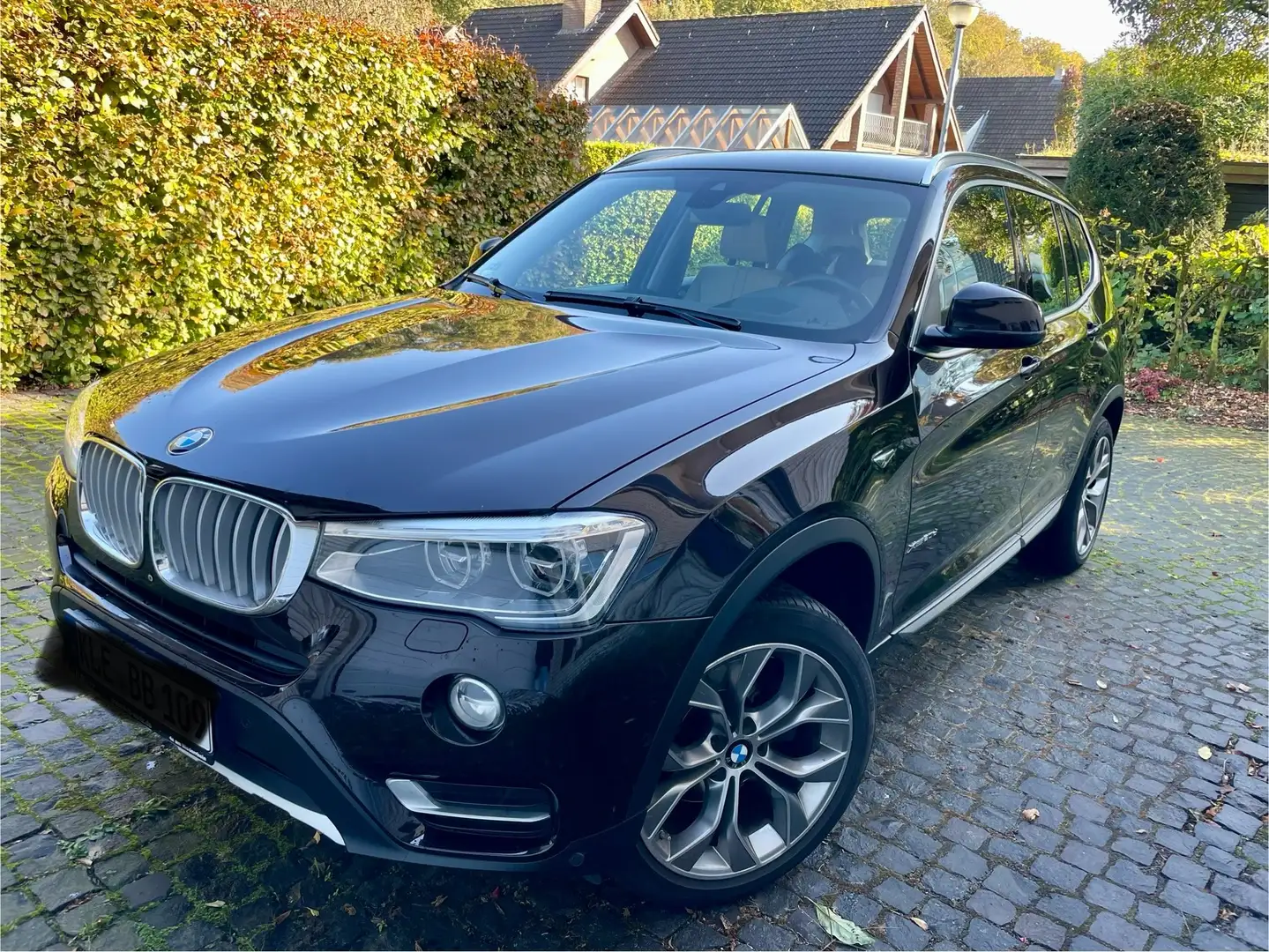 BMW X3 X3 xDrive20d xLine,HEAD-UP/Schiebedach/Kamera/ Braun - 1