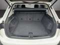 Volkswagen Touareg Elegance 4Motion Weiß - thumbnail 15