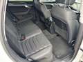 Volkswagen Touareg Elegance 4Motion Weiß - thumbnail 18