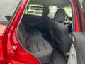 Mazda CX-5 2015 2.2 Evolve 2wd 150cv E6 TESTATA NUOVA Rosso - thumbnail 11
